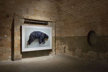 Exhibition view: Thomas Struth, Nature & Politics, Marian Goodman Gallery, Paris (25th May - 26th July 2024). Courtesy the artist & Marian Goodman Gallery.