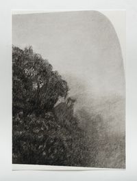 Horton plains 6 by Muhanned Cader contemporary artwork works on paper, drawing