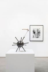 Exhibition view: Jean-Luc Moulène, the dot the well the plain and the rain, Galerie Chantal Crousel, Paris (16 October–18 November 2023). Courtesy the artist and Galerie Chantal Crousel. Photo: Martin Argyroglo. © Jean-Luc Moulène/ADAGP, Paris (2023). 