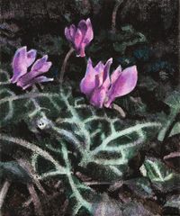 Wild Flowers – Cyclamen by Anita Fricek contemporary artwork painting, works on paper
