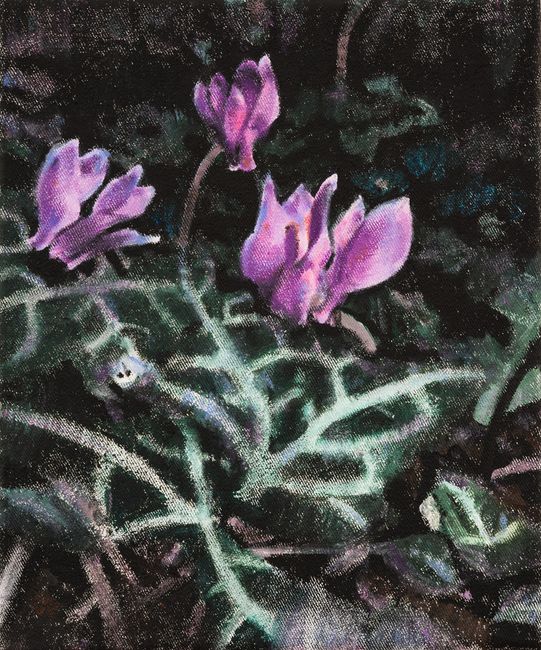 Wild Flowers – Cyclamen by Anita Fricek contemporary artwork