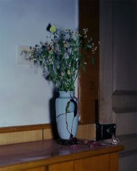The Broken Vase (China) by Bowei Yang contemporary artwork photography