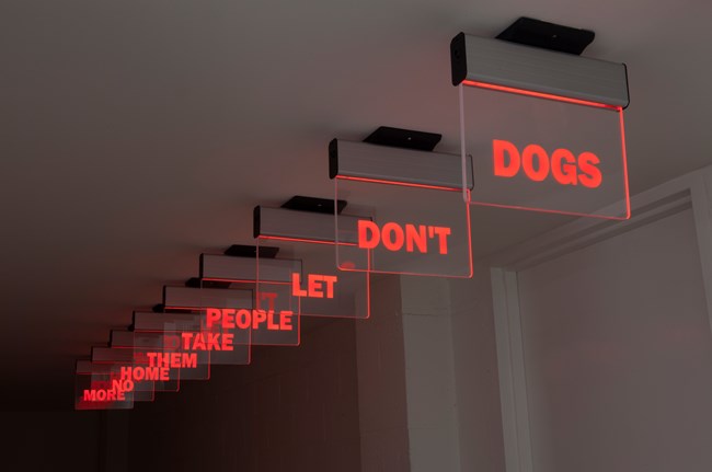 dogs don't let people take them home no more by Darren Bader contemporary artwork