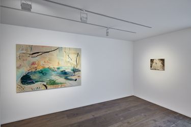 Exhibition view: Group Exhibition, The Landscape: from the exterior to the interior, rosenfeld, London (6 May–12 June 2021). Courtesy rosenfeld. 