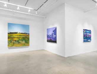 Exhibition view: Group Exhibition, Do You Think It Needs a Cloud?, New York, 22nd Street (10 September–10 October 2020). Courtesy Miles McEnery Gallery. 