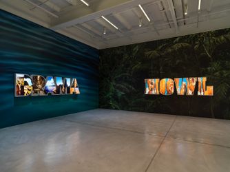 Installation view, Doug Aitken, HOWL, Galerie Eva Presenhuber, Maag Areal, Zurich, 2023