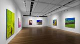 Contemporary art exhibition, Jenny Watson, Six new works and the Patricia paintings at Roslyn Oxley9 Gallery, Sydney, Australia