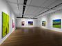 Contemporary art exhibition, Jenny Watson, Six new works and the Patricia paintings at Roslyn Oxley9 Gallery, Sydney, Australia