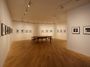 Contemporary art exhibition, Takashi Hamaguchi, Dissidents at amanaTIGP, amanaTIGP, Tokyo, Japan