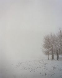 #7412 by Todd Hido contemporary artwork photography