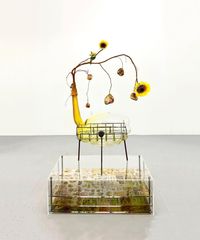 Of Beauty and Decay; or, not (yellow) by Jesse Krimes contemporary artwork painting, works on paper, sculpture, photography, print, moving image