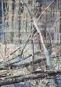 Critical Forests 2 by Imants Tillers contemporary artwork painting