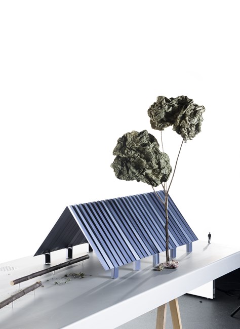 Roofs and Trunks by Ronan & Erwan Bouroullec contemporary artwork