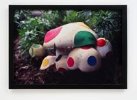 Renovated Mushroom by Nina Katchadourian contemporary artwork photography