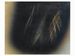 Hans Hartung contemporary artist