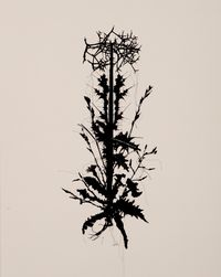 Urpflanze street plant #6 (Tarin Kot, Camp Holland, Diesel Farm Road, Afghanistan, collected by Ben Quilty, 28.10.2011)  by Caroline Rothwell contemporary artwork drawing, textile, textile, textile