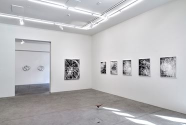 Exhibition view: Julia Steiner, circular flight, Galerie Urs Meile, Lucerne (5 March–2 May 2020). Courtesy the Artist and Galerie Urs Meile, Beijing-Lucerne.