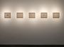 Contemporary art exhibition, Gregory Halili, Vanishing at SILVERLENS, New York, United States