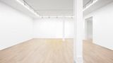 Almine Rech contemporary art gallery in New York, USA