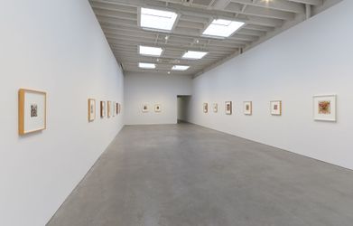Exhibition view: Mark Grotjahn, Skulls 2016–2023, Karma, 188 East 2nd Street, New York (3 November–20 December 2023). Courtesy Karma.
