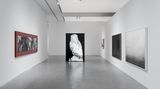 Contemporary art exhibition, Robert Zhao Renhui, Monuments in the Forest at ShanghART, M50, Shanghai, China