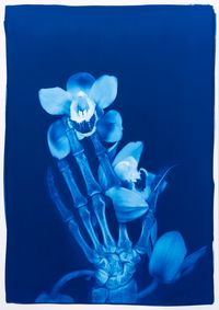 No.34 Blue Bone No.34 by Hu Weiyi contemporary artwork print