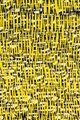 Grid Cut Peel Yellow 1 by Hadieh Shafie contemporary artwork 3