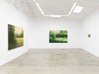 Exhibition view: Hannah Brown, Hollow Pond, Anat Ebgi, Los Angeles (8 March–20 April 2024). Courtesy Anat Ebgi, Los Angeles/New York.