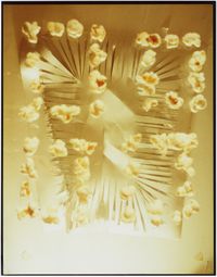 Untitled (Popcorn) by Jimmy DeSana contemporary artwork photography