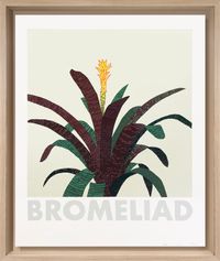 Bromeliad by Jonas Wood contemporary artwork print