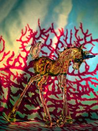 Sanguine Unicorn by Fiona Pardington contemporary artwork photography