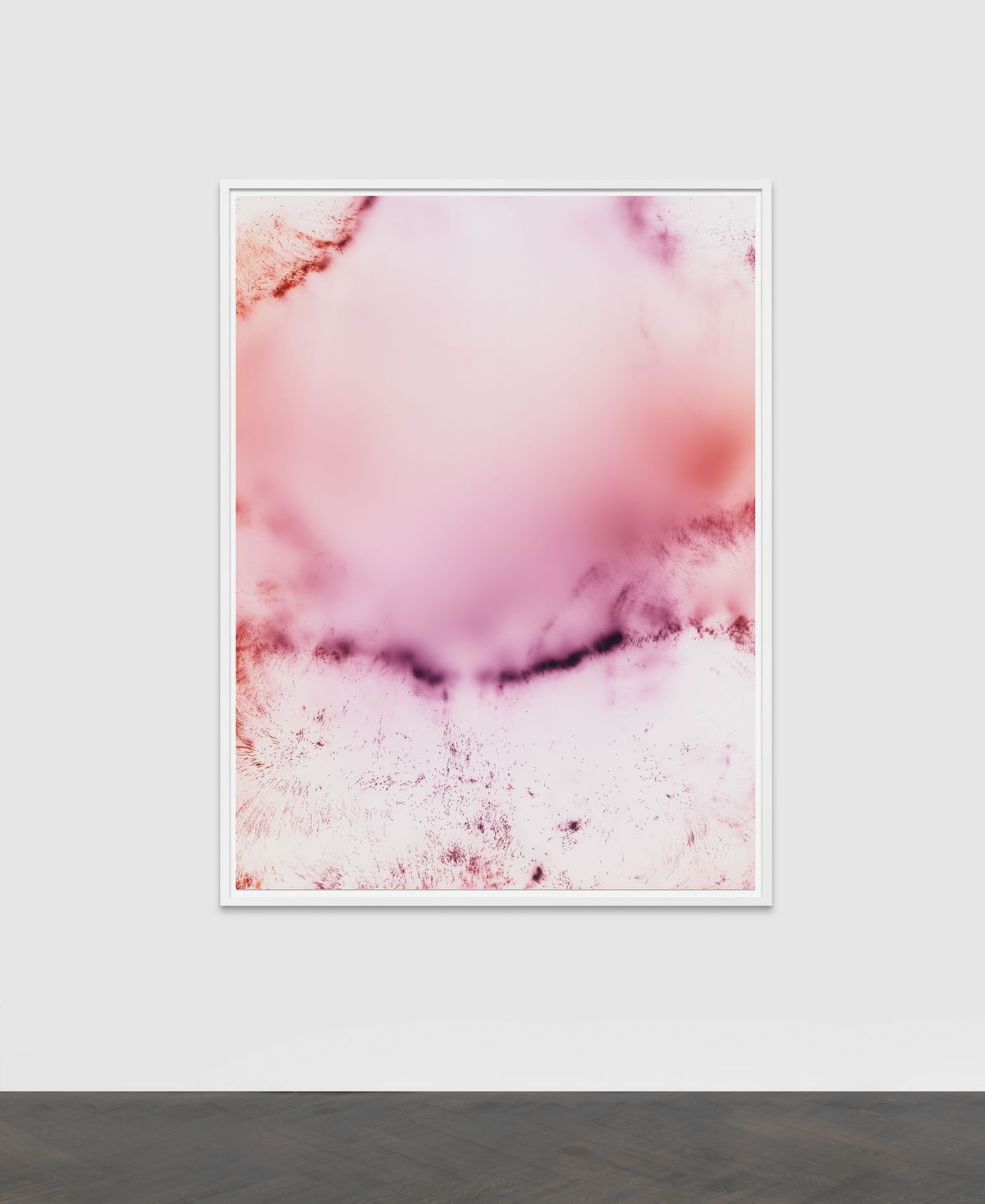 Wolfgang Tillmans Freischwimmer 写真集 図録 Wolfgang Tillmans 20th Century & Contemporary Art Evening Sale