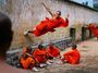 Contemporary art exhibition, Steve McCurry, The Iconic Photographs at Alexandra House, Central
