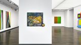 Contemporary art exhibition, Group Exhibition, Cartographies of Colour at Galerie Thomas, Munich, Germany
