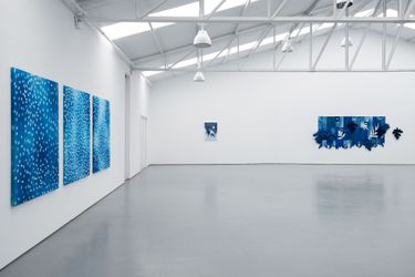 Exhibition view: Timothy Hyunsoo Lee, SanToki Tokiya, Sabrina Amrani, Madrid (18 November 2023–20 January 2024). Courtesy Sabrina Amrani.
