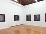 Contemporary art exhibition, Neil Pardington and Fiona Pardington, Blood and Roses at Jonathan Smart Gallery, Christchurch, New Zealand