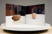 Film-Object (Potato) by Lucas Blalock contemporary artwork 3