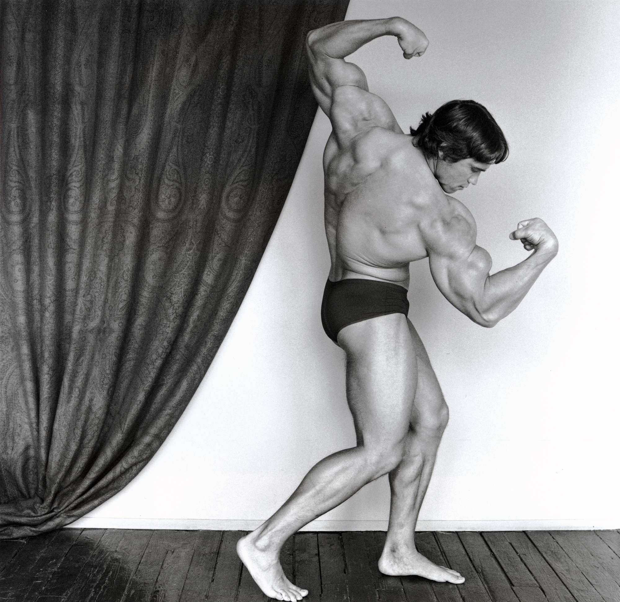 Arnold Schwarzenegger, 1976 by Robert Mapplethorpe | Ocula