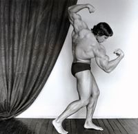 Arnold Schwarzenegger by Robert Mapplethorpe contemporary artwork photography