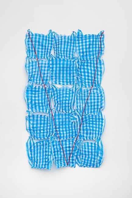 Vital Flush Net by J Stoner Blackwell contemporary artwork