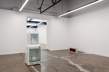 Alicia FrankovichSpaces of Life, 2024 (installation view) Courtesy of the artist and 1301SW, Melbourne