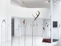 Untitled by Julius von Bismarck contemporary artwork sculpture, installation