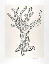 Cedar by Ai Weiwei contemporary artwork print