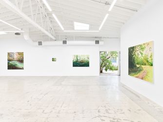 Exhibition view: Hannah Brown, Hollow Pond, Anat Ebgi, Los Angeles (8 March–20 April 2024). Courtesy Anat Ebgi, Los Angeles/New York.