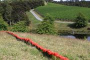 Bottle Bay Sculpture Trail by Judy Darragh contemporary artwork 1