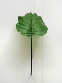 Alocasia Odora (40% chance of rain) by Tania Pérez Córdova contemporary artwork sculpture