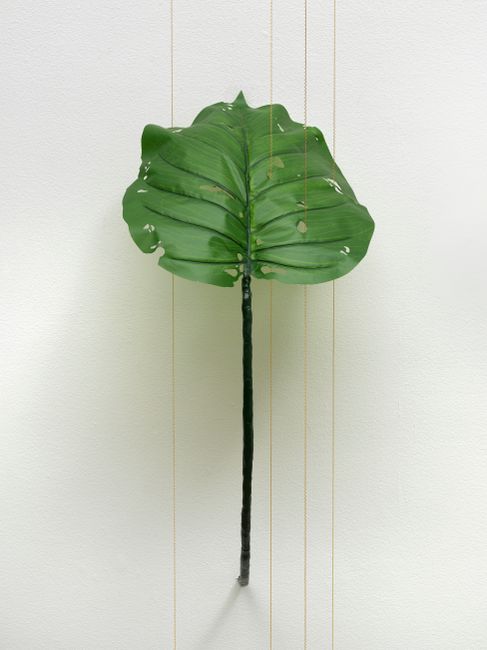 Alocasia Odora (40% chance of rain) by Tania Pérez Córdova contemporary artwork