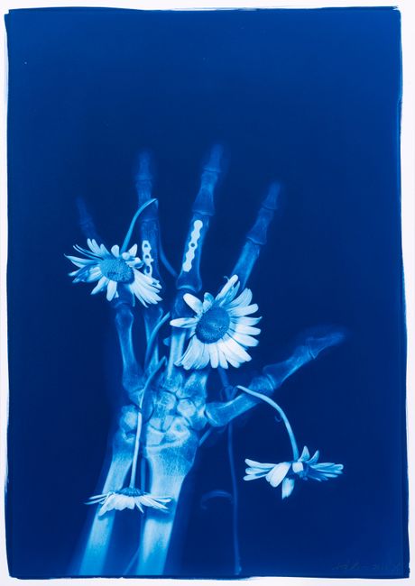 Blue Bone No. 37 by Hu Weiyi contemporary artwork