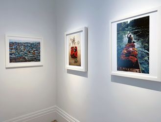 Exhibition Views: Group Exhibition, Fields of Vision, Sundaram Tagore Gallery, London (7 May–25 June 2024). Courtesy Sundaram Tagore Gallery, London/New York/Singapore.