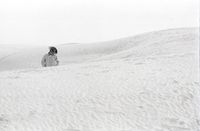 Cowboy in dunes, White Sands, Nevada by Thomas Hoepker contemporary artwork photography